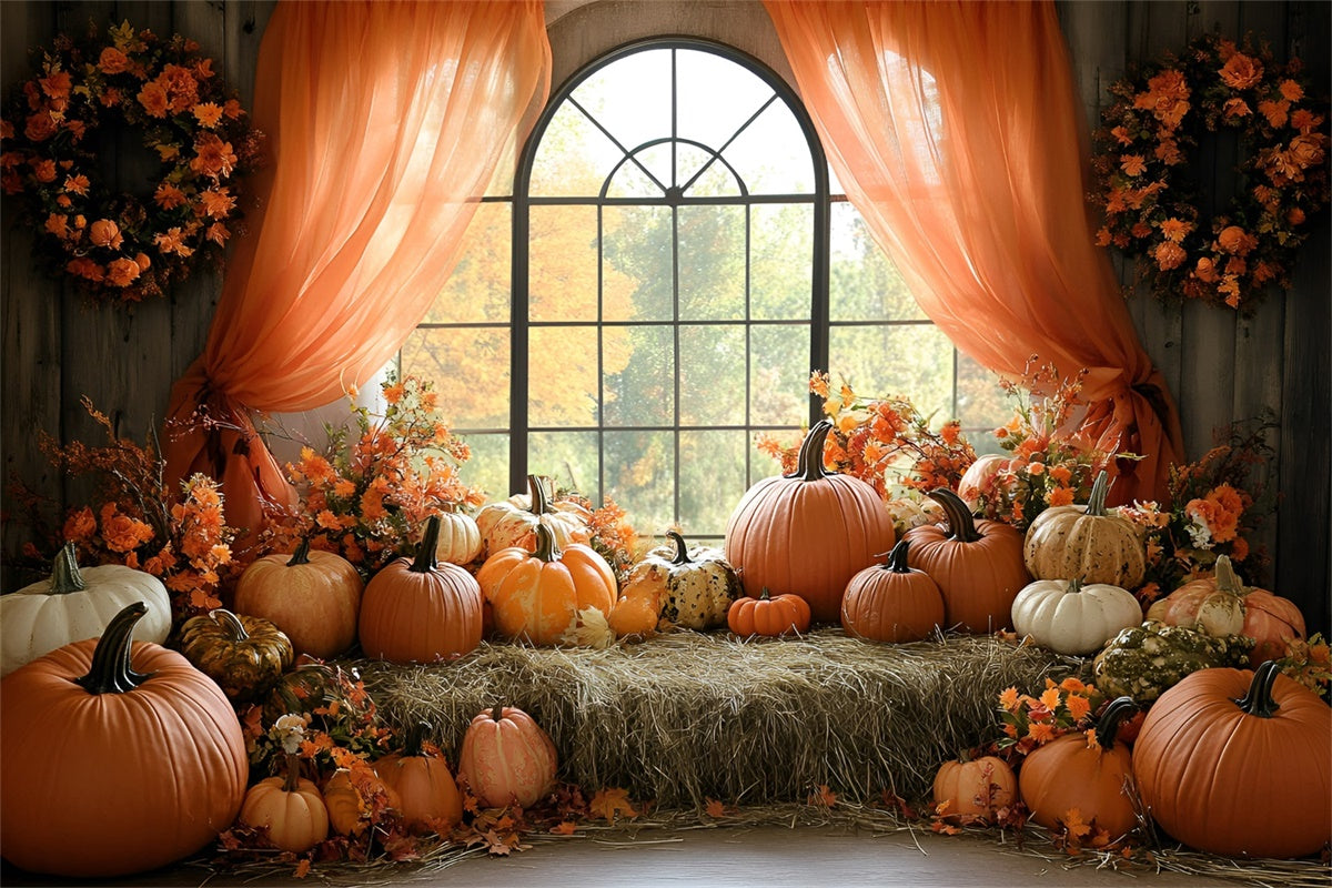 Autumn Photo Backdrop Pumpkin Window Harvest Backdrop GQ57-110