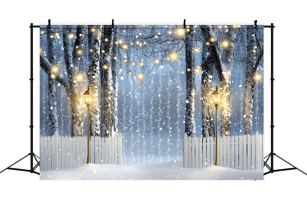 Winter Forest Backdrop Lantern Birch Path Backdrop GQ57-150