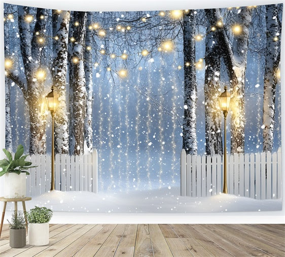 Winter Forest Backdrop Lantern Birch Path Backdrop GQ57-150