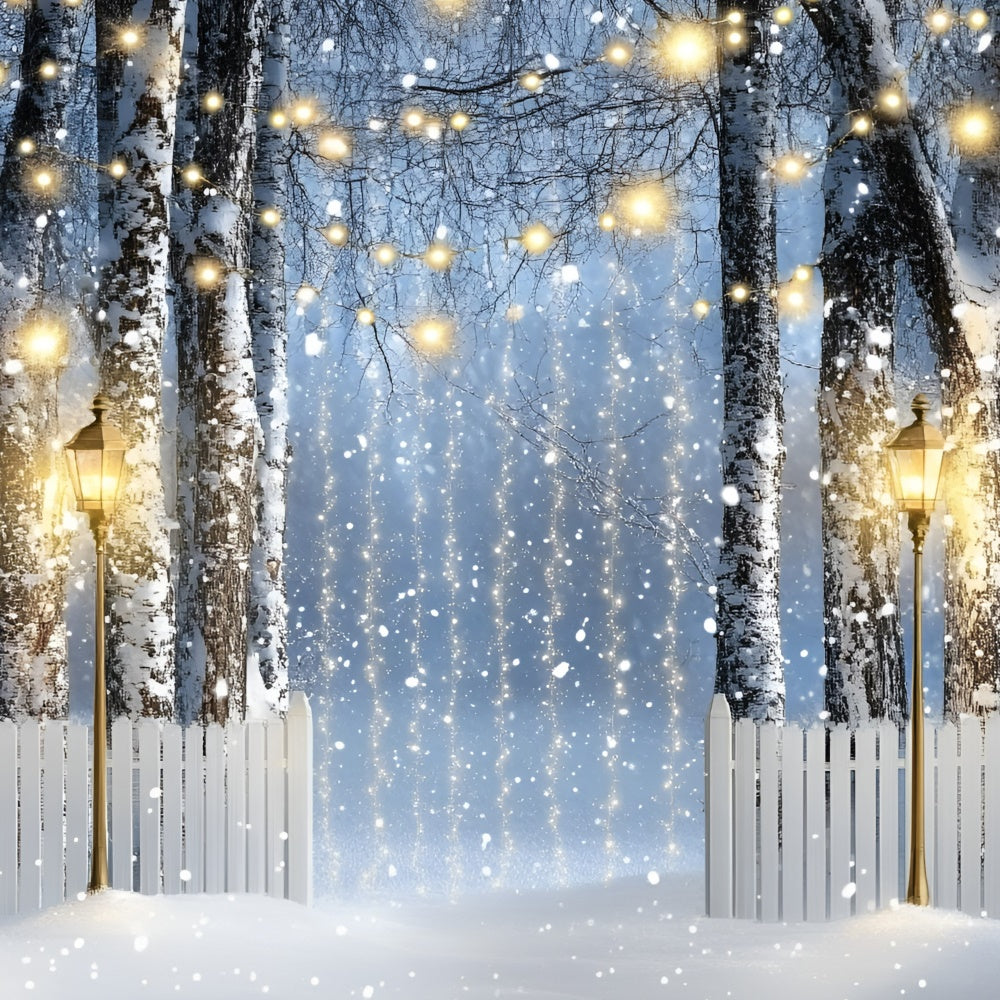 Winter Forest Backdrop Lantern Birch Path Backdrop GQ57-150