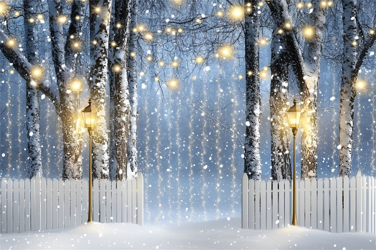 Winter Forest Backdrop Lantern Birch Path Backdrop GQ57-150
