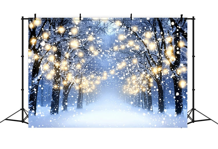 Winter Photo Backdrop Glowing Forest Walk Backdrop GQ57-151