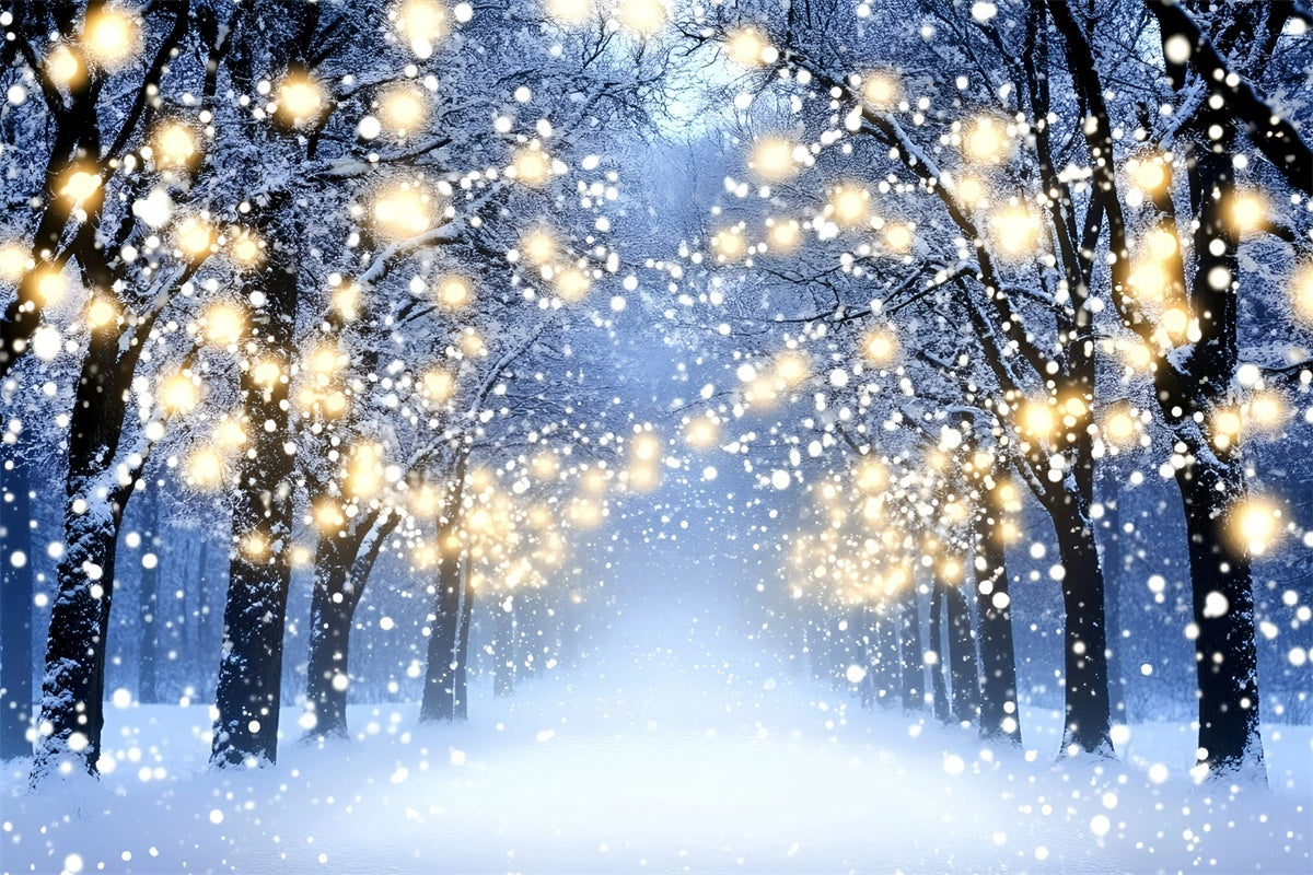 Winter Photo Backdrop Glowing Forest Walk Backdrop GQ57-151