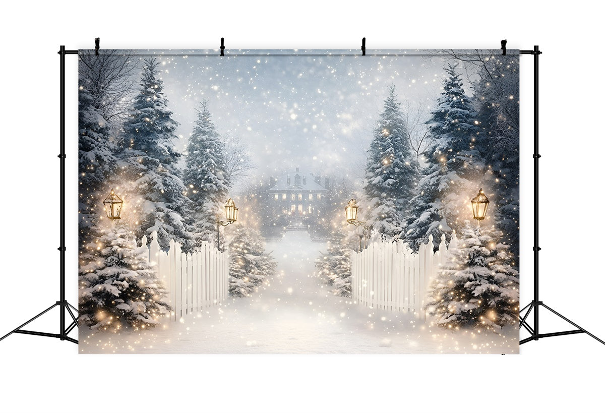Winter Snow Backdrop Lantern Snow Trail Backdrop GQ57-152