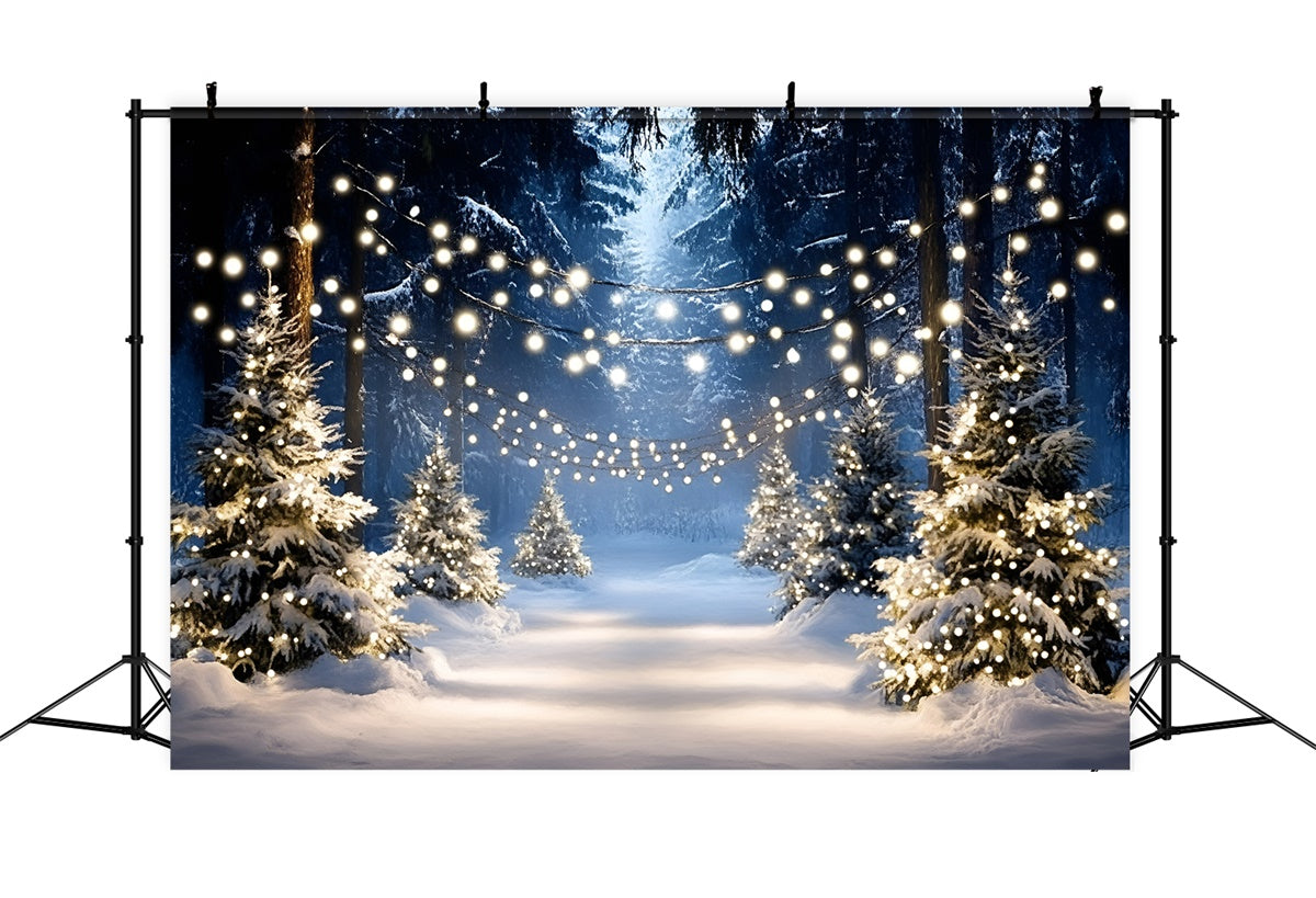 Winter Photo Backdrop Winter Tree Light Path Backdrop GQ57-159