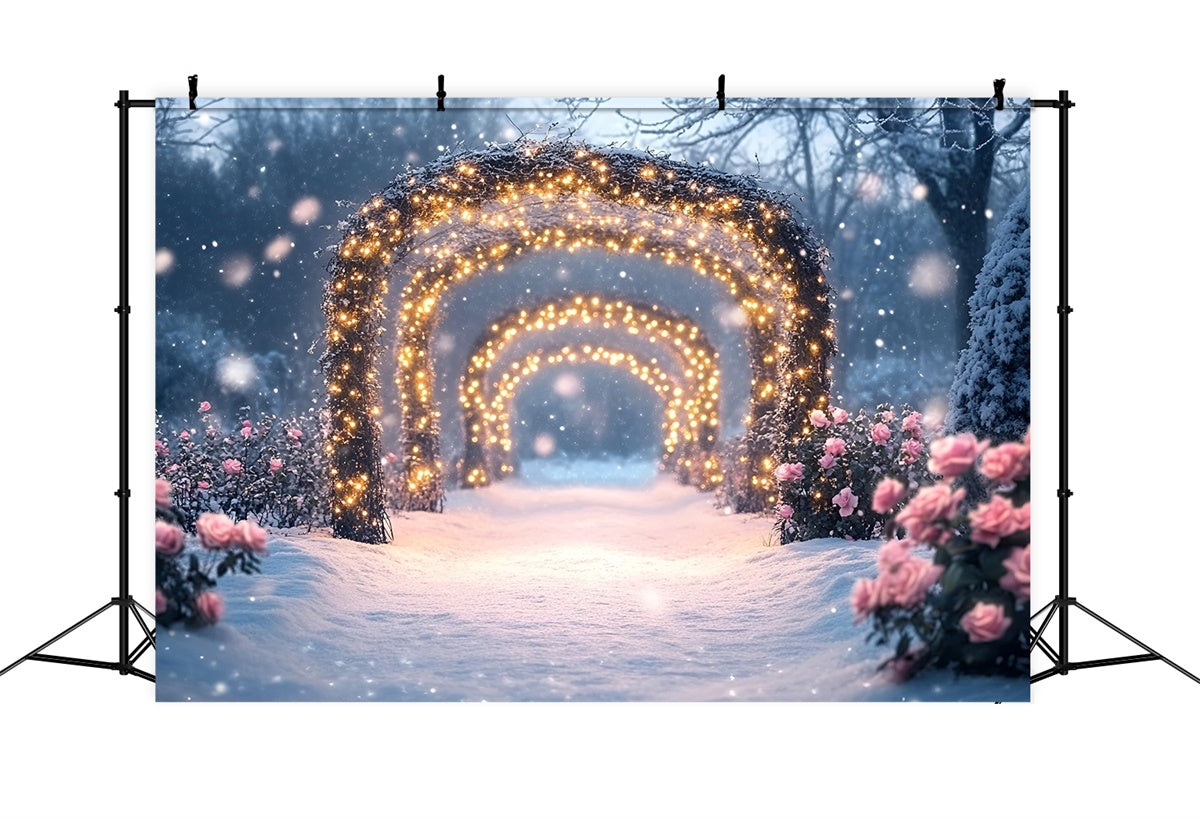 Winter Photography Backdrops Sparkling Rose Trail Backdrop GQ57-171