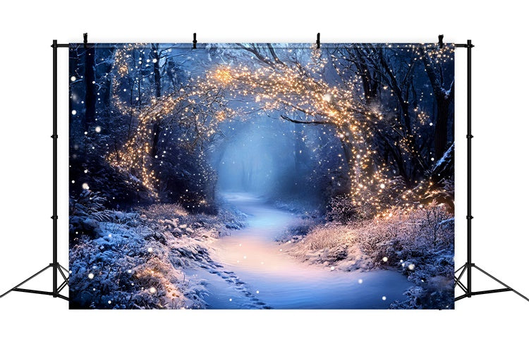 Winter Forest Backdrop Fairy Lights Trail Backdrop GQ57-174