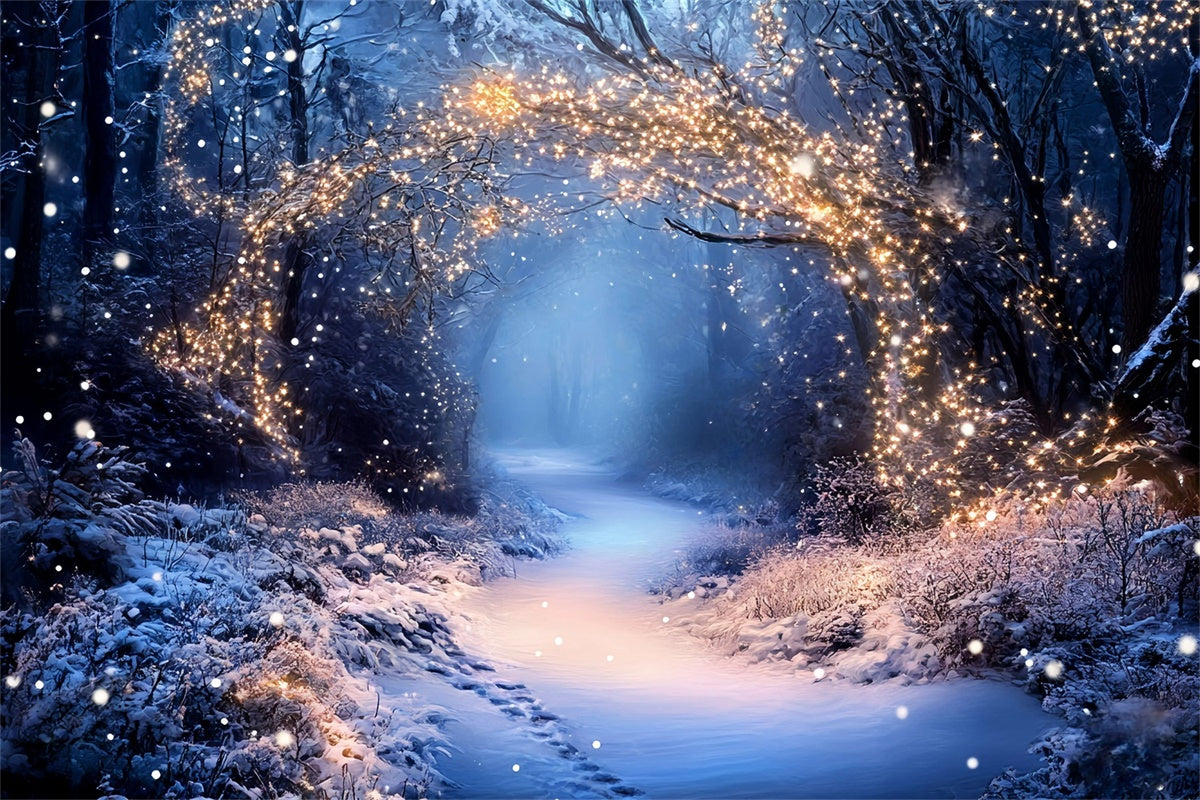 Winter Forest Backdrop Fairy Lights Trail Backdrop GQ57-174