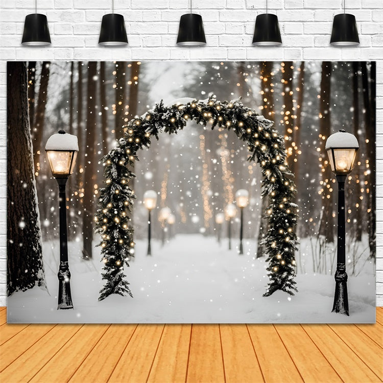 Winter Forest Backdrop Magic Lantern Snow Path Backdrop GQ57-72