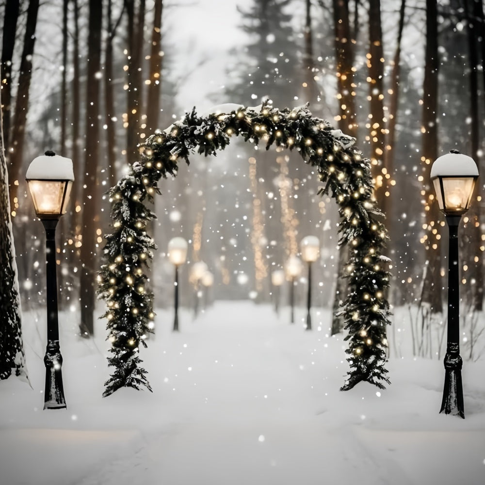 Winter Forest Backdrop Magic Lantern Snow Path Backdrop GQ57-72