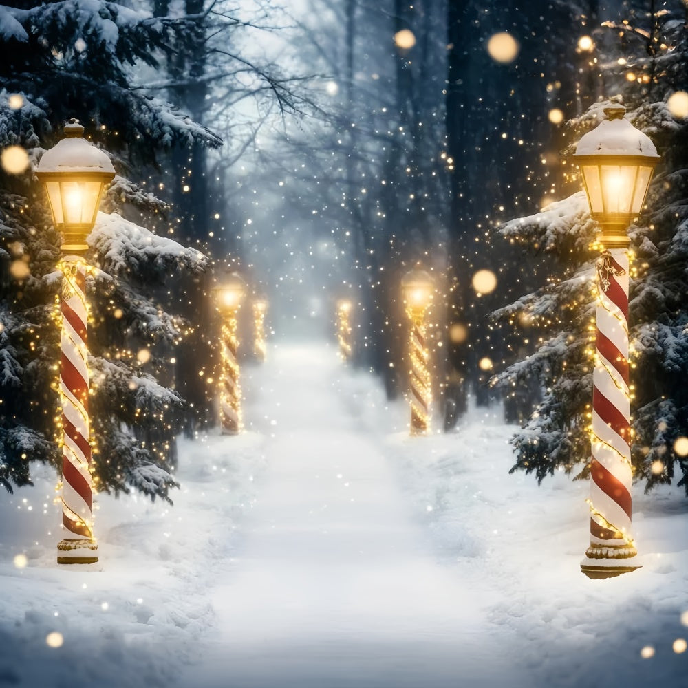 Snow Forest Backdrop Holiday Magic Forest Backdrop GQ57-73