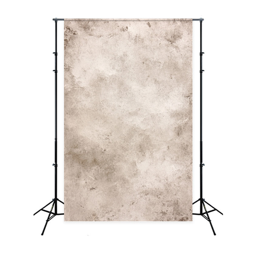 Cream Backdrop Vintage Weathered Stone Gray Pattern Photo Portrait Background GQ58-101