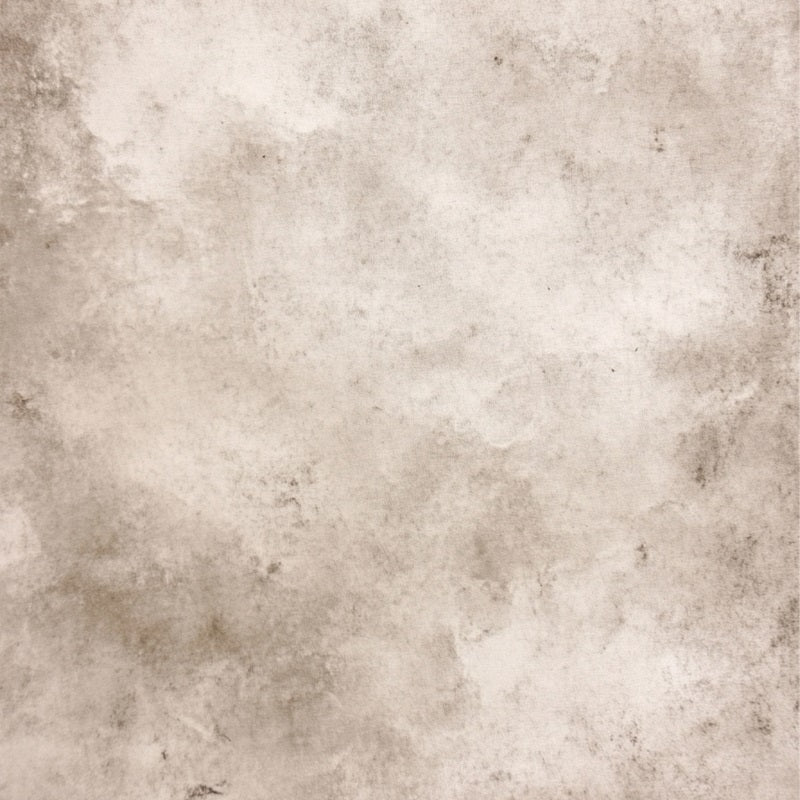 Cream Backdrop Vintage Weathered Stone Gray Pattern Photo Portrait Background GQ58-101