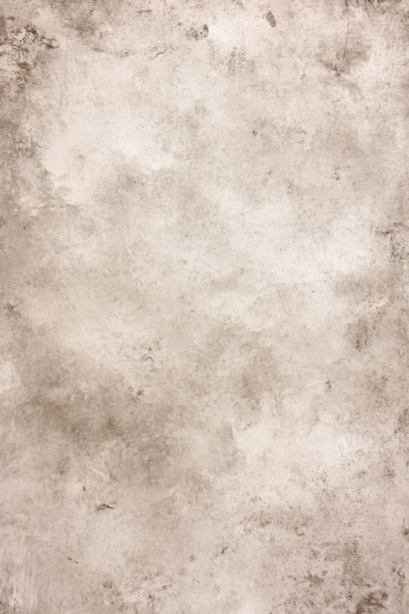 Cream Backdrop Vintage Weathered Stone Gray Pattern Photo Portrait Background GQ58-101
