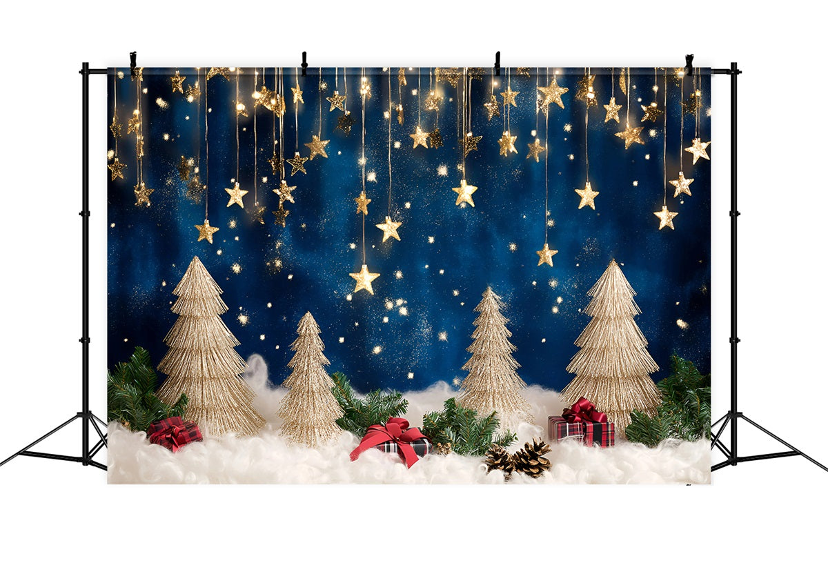Night Sky Backdrop Sparkling Starfall Holiday Magic  Christmas Backdrop Ideas GQ58-43