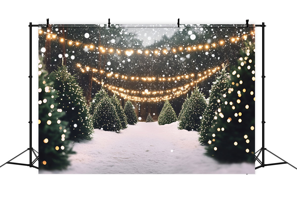 Christmas Tree Farm Backdrop Snowy Pine Lane with Twinkle Lights Professional Christmas Backdrops GQ58-48