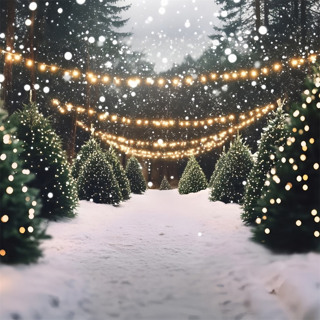 Christmas Tree Farm Backdrop Snowy Pine Lane with Twinkle Lights Professional Christmas Backdrops GQ58-48