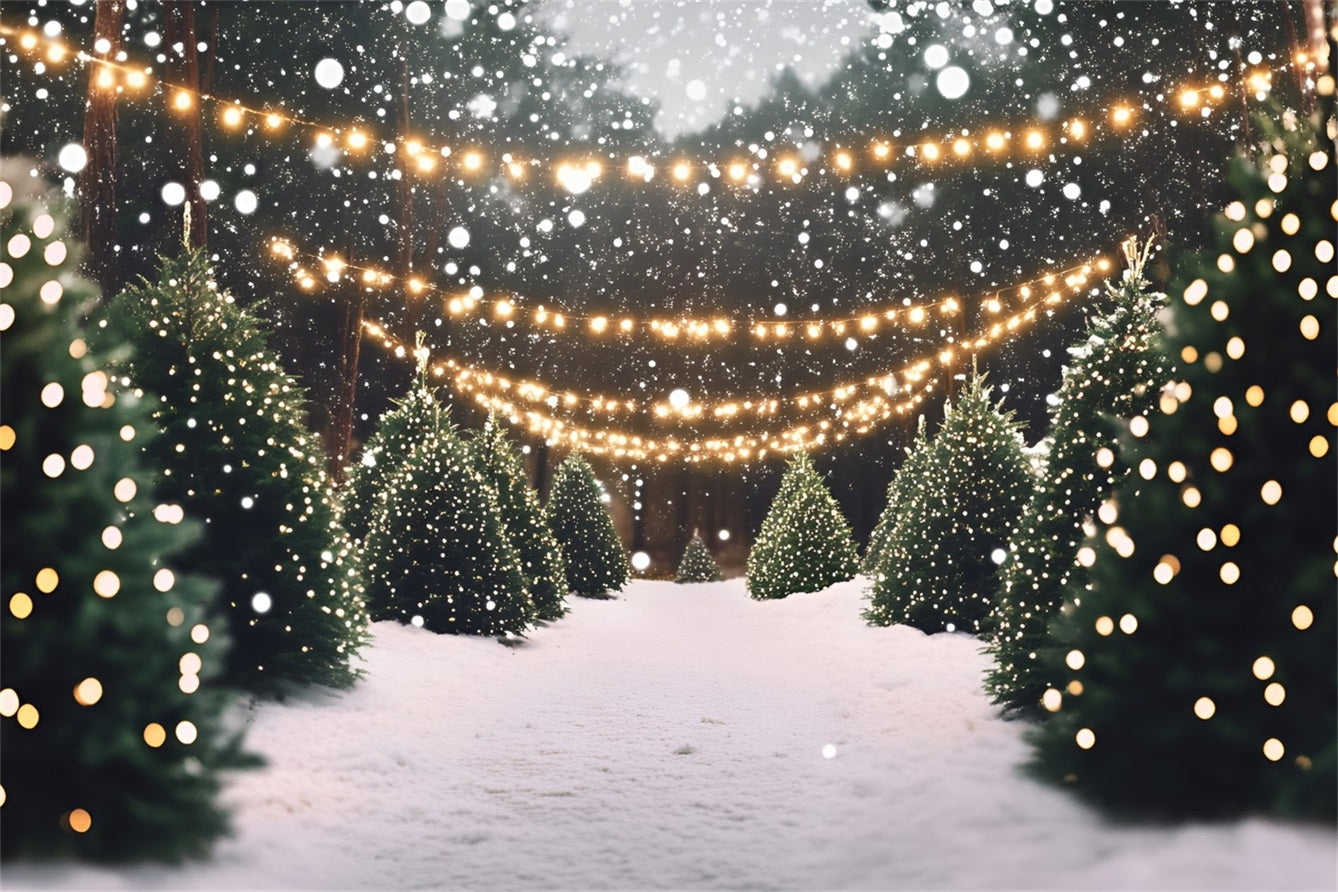Christmas Tree Farm Backdrop Snowy Pine Lane with Twinkle Lights Professional Christmas Backdrops GQ58-48