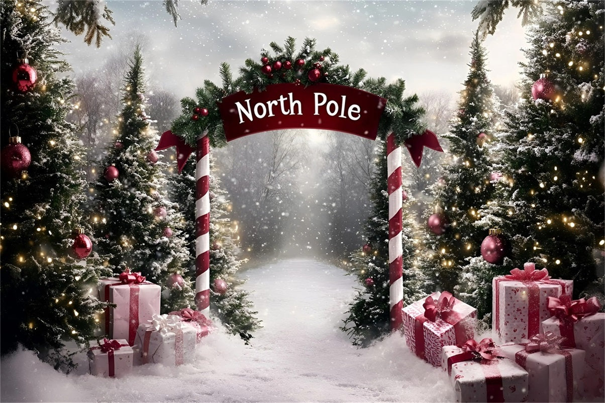 North Pole Backdrop North Pole Candy Cane Gift Path Professional Christmas Backdrops GQ58-51