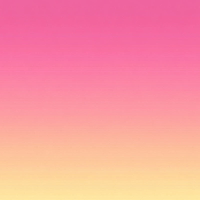 Gradient Backdrop Vibrant Pink Yellow Gradient Glow Portrait Photography Backdrops GQ58-65