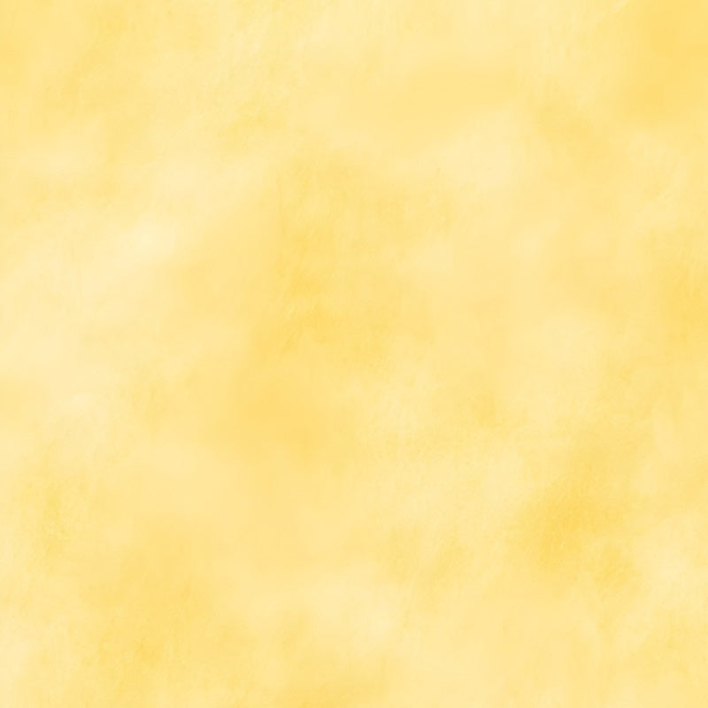 Yellow Backdrop Soft Warm Yellow Gradient Texture Photography Portrait Backdrop GQ58-73
