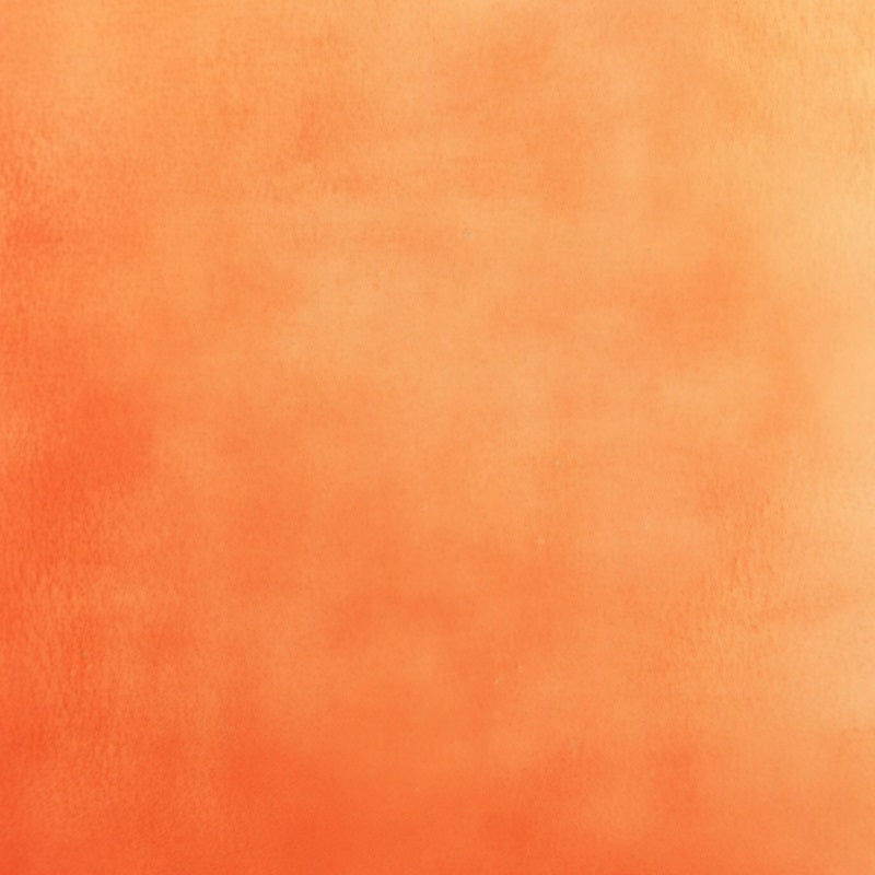 Orange Backdrop Warm Sunset Gradient Texture Backdrop Backdrop for Portraits GQ58-80