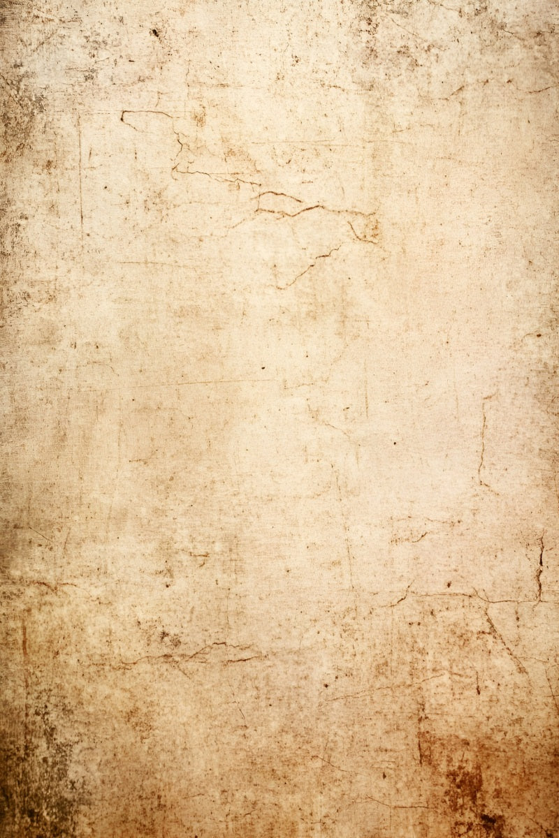 Grunge Backdrop Aged Beige Distressed Wall Texture Backgrounds for Portraits GQ58-89