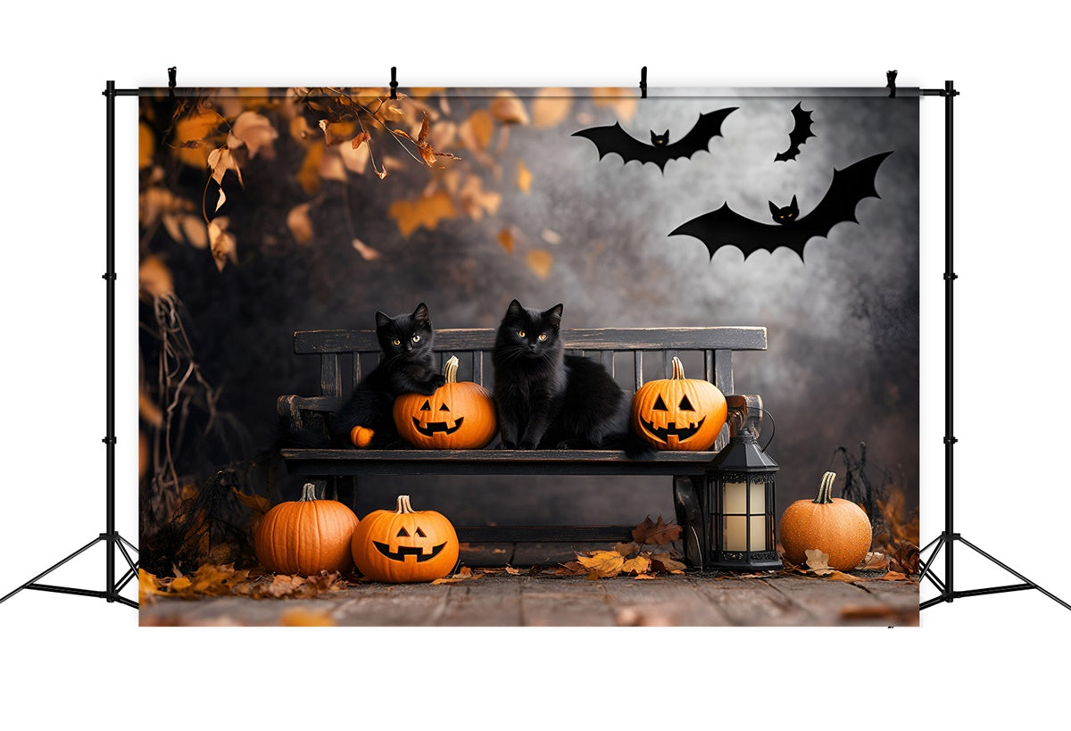 Scary Halloween Backdrops Black Cat Pumpkin Bench Backdrop GQ6-234