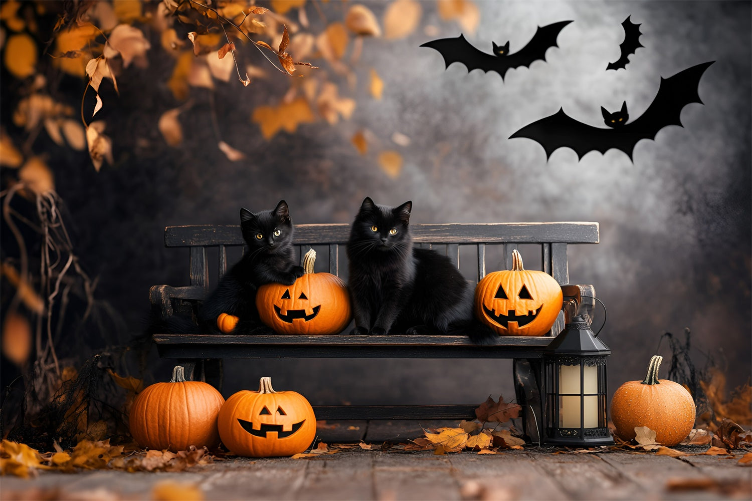 Scary Halloween Backdrops Black Cat Pumpkin Bench Backdrop GQ6-234