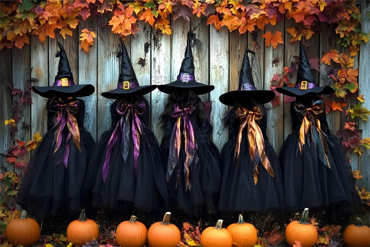 Halloween Witch Backdrop Spooky Witch Wardrobe Backdrop GQ6-251