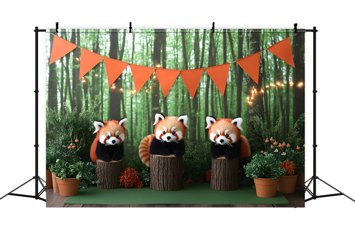 Smash Cake Backdrop Woodland Cubs Adventure Backdrop GQ6-294