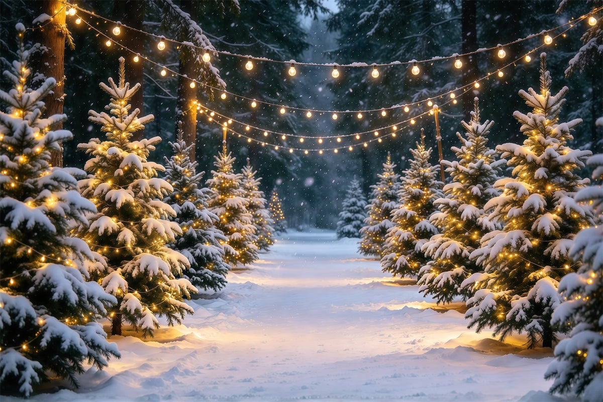 Christmas Tree Farm Backdrop Snowy Pine Stringlight Path Christmas Tree Backdrops GQ610-16