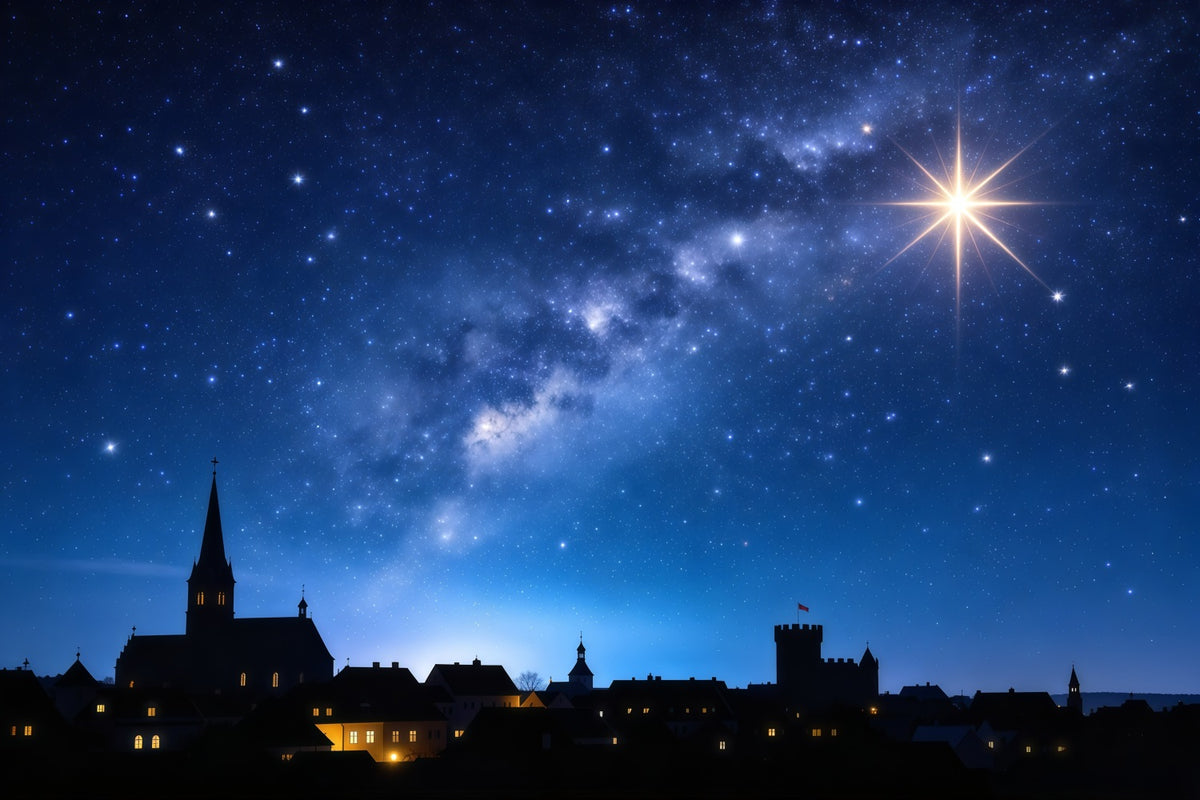 Nativity Scene Backdrop Radiant Star Village Skyline Christmas Photo Backdrop Ideas GQ610-38