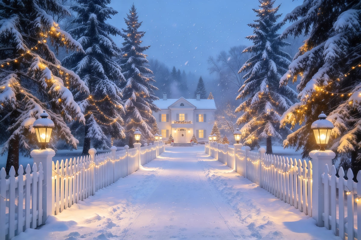 Christmas Lights Photo Backdrop Snowy Lantern Picket Path Christmas Photobooth Backdrop GQ610-72