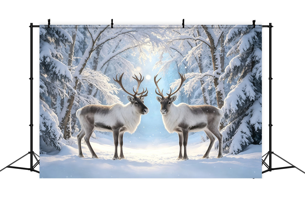 Snowy Christmas Backdrop Reindeer Winter Forest Path Christmas Photo Backdrop GQ68-117