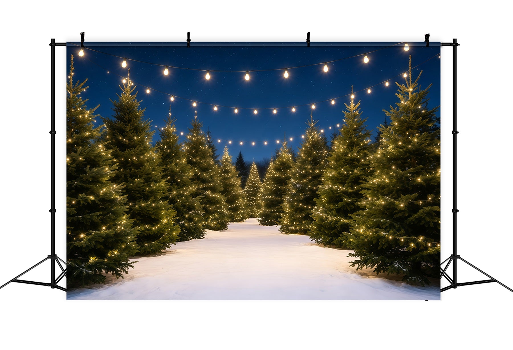 Christmas Tree Farm Backdrop Snowy Pine Light Path Christmas Backdrops GQ68-132