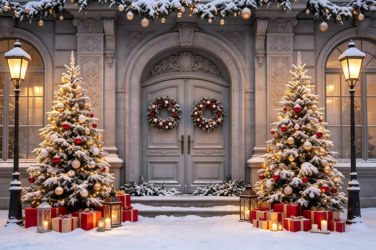 Christmas House Backdrop Snowy Mansion Doorway Trees Indoor Christmas Backdrop GQ68-61