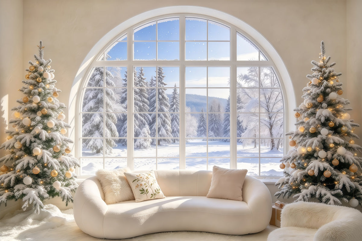 Christmas Couch Backdrop Snowy Arched Window Lounge Christmas Presents Backdrop GQ69-120