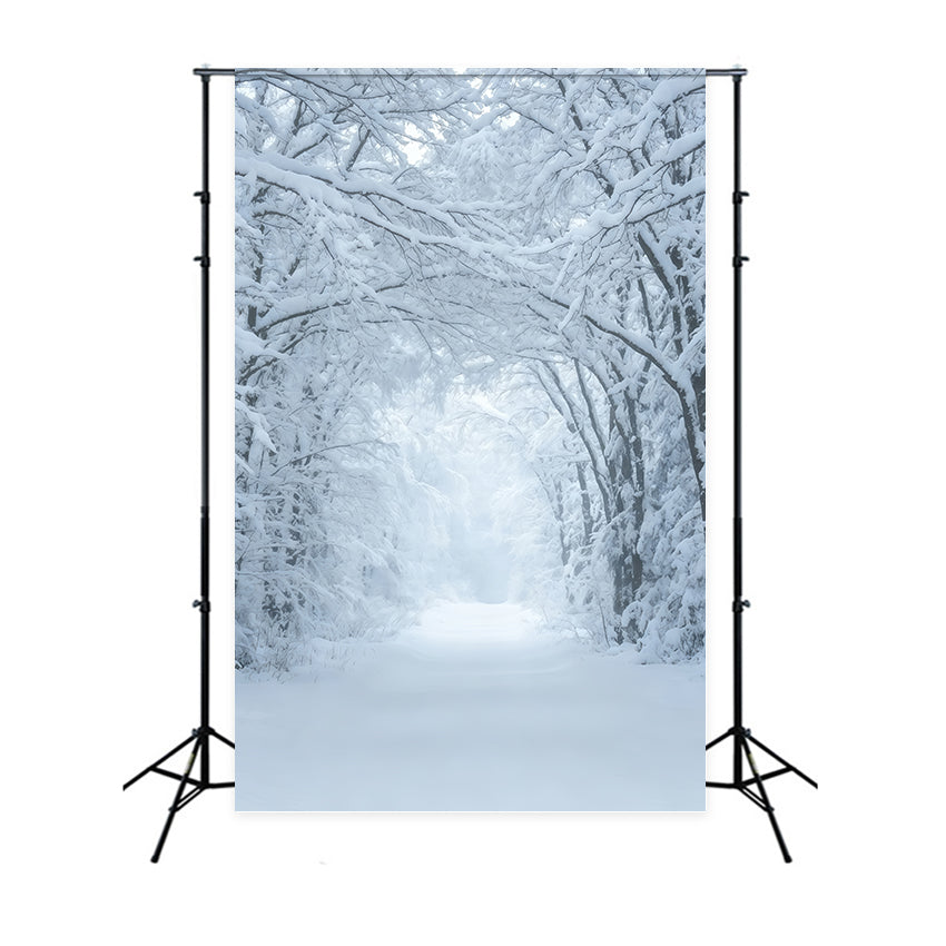 Winter Christmas Backdrop Snowy Forest Pathway Tunnel Christmas Studio Backdrops GQ69-43