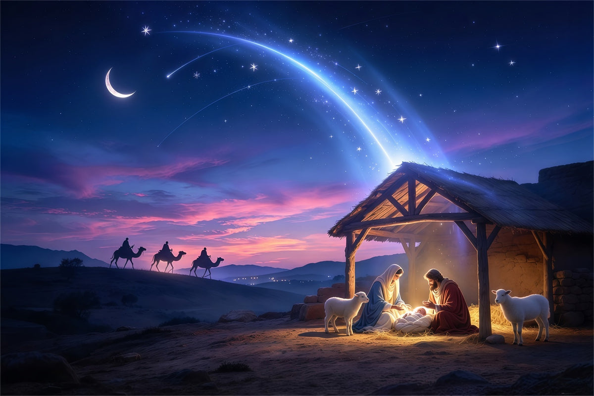 Nativity Scene Backdrop For Play Starlit Moon Desert Night Bethlehem Backdrops GQ69-91