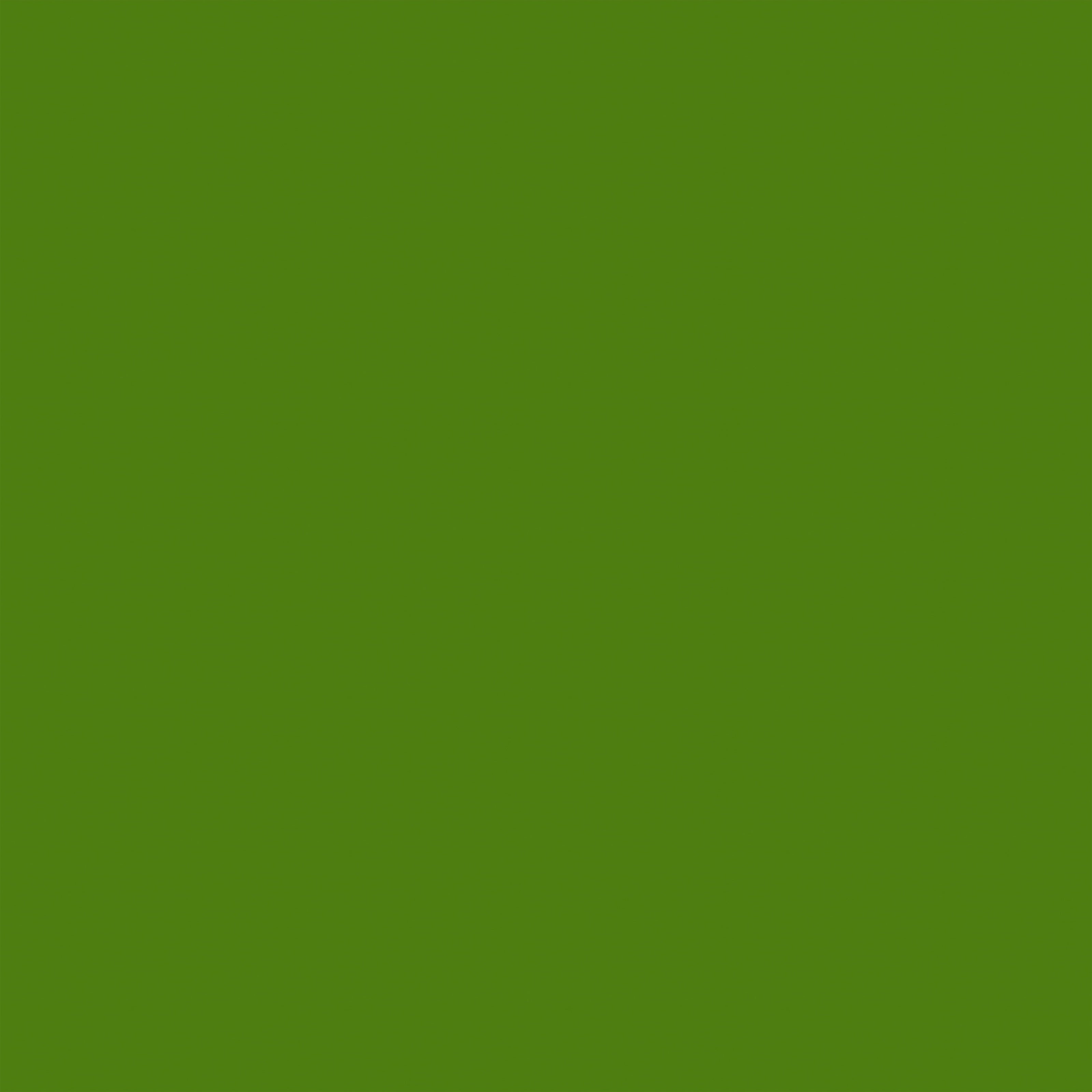 Green Photography Backdrop Vintage Pine Green Backdrop GTY2-177