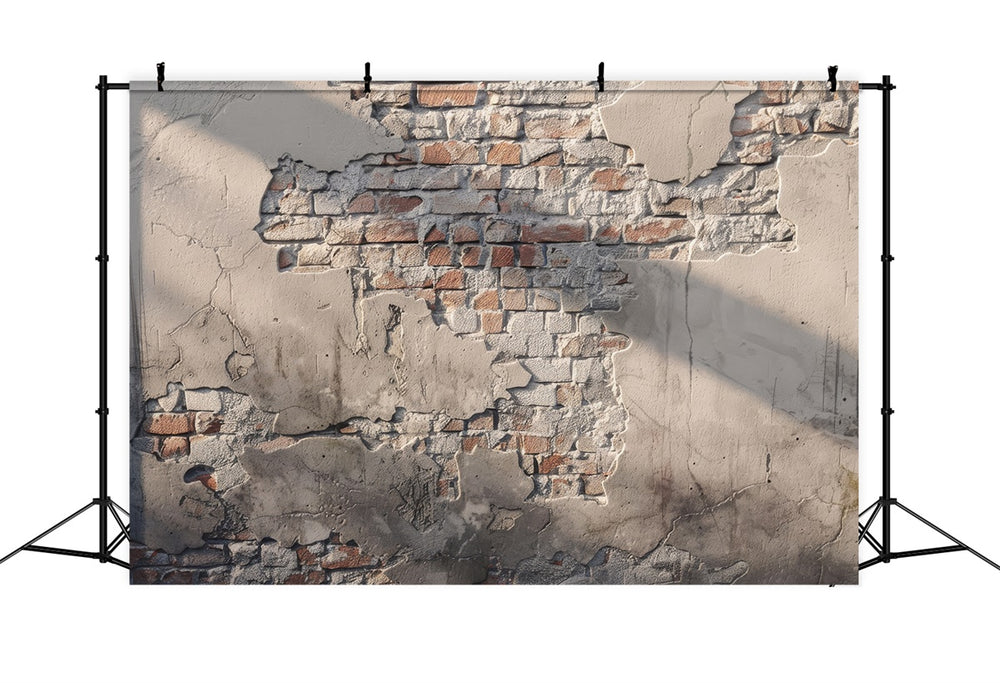 School Portrait Backdrops Rustic Aged Brick Texture Backdrop GTY3-102
