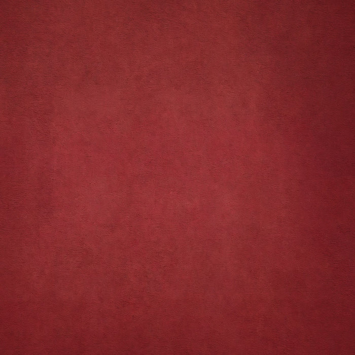 Red Backdrop Warm Brick Red Studio Backdrop GTY3-361