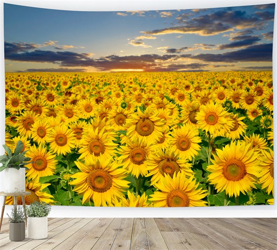 Sunflower Backdrops Golden Sunflower Sunset Field Summer Backdrop GTY3-381