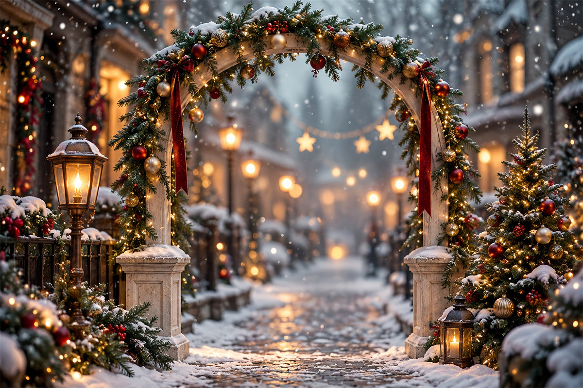 Christmas Lights Photo Backdrop Snowy Evergreen Lantern Arch Christmas Photo Wall Backdrop HQ610-175