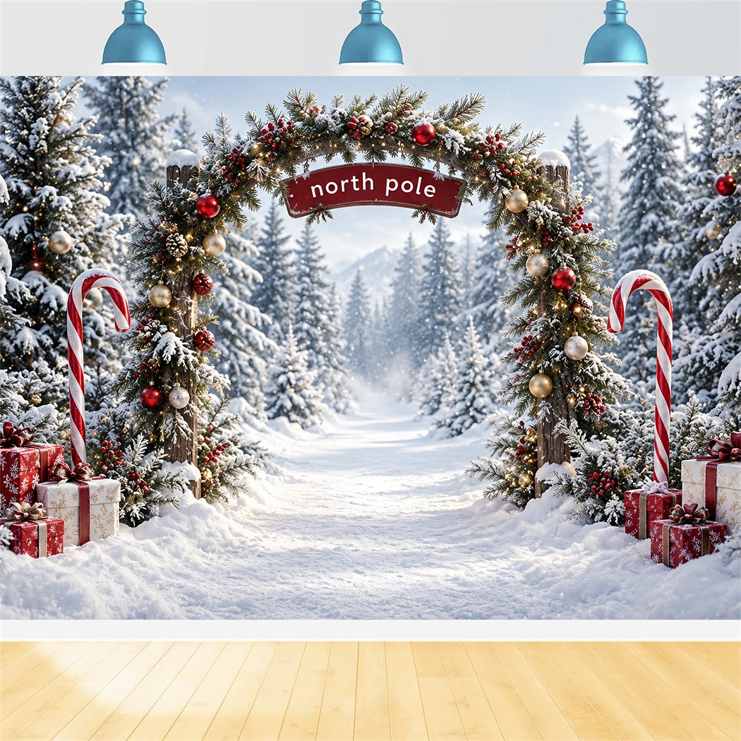 North Pole Photo Backdrop Candy Cane Forest Entrance Christmas Winter Backdrop HQ610-182