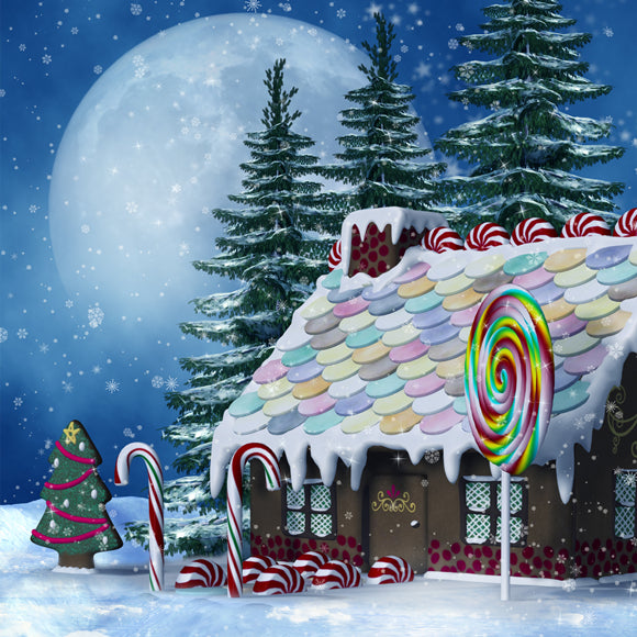 Christmas Gingerbread  House Backdrop for Photo Booth KAT-90