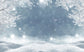 Winter White Snow Snowflake  Bokeh  Photo Booth Backdrop LV-1023