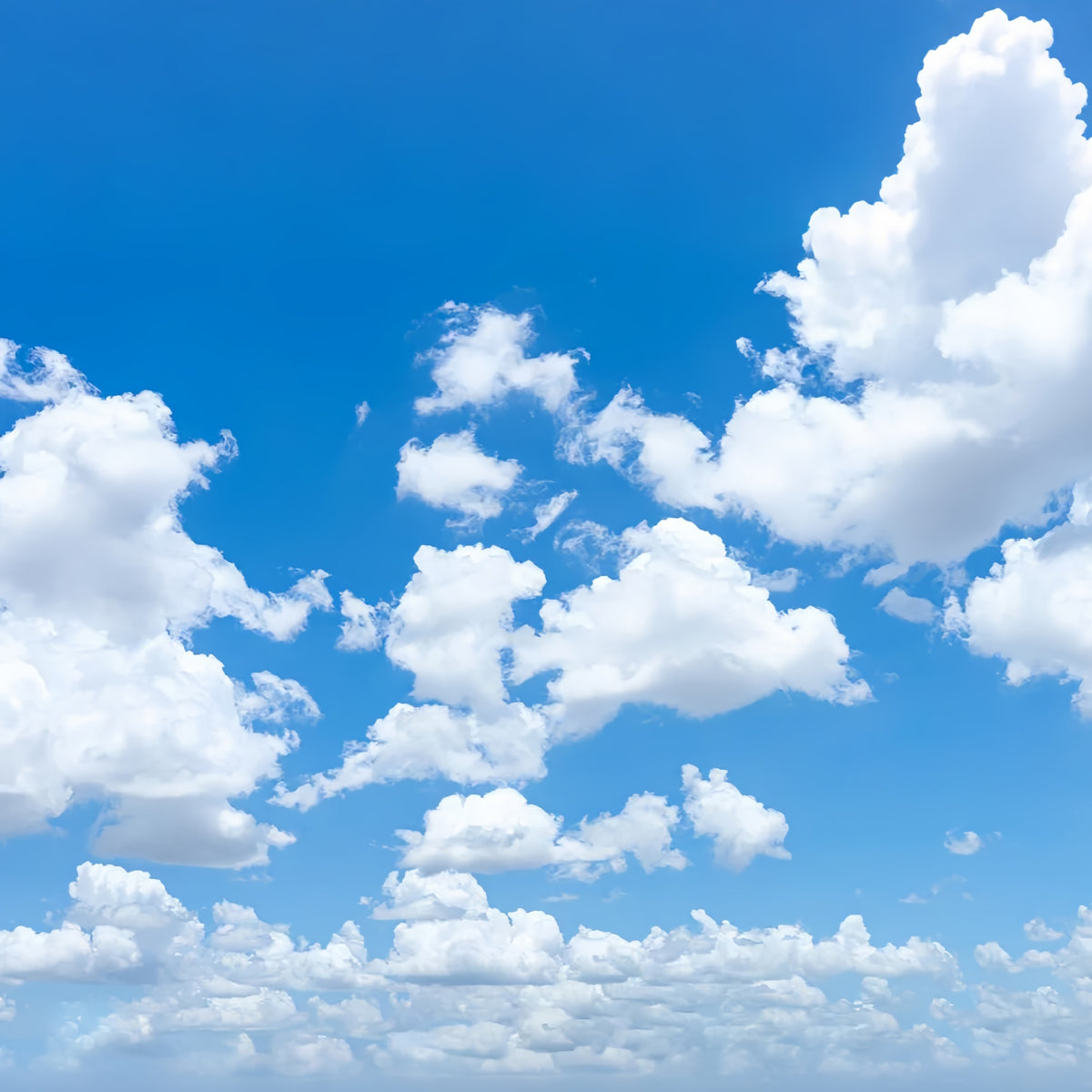 cloud-photography-backdrop-expansive-sky-puffy-clouds-backdrop-lxx1-32