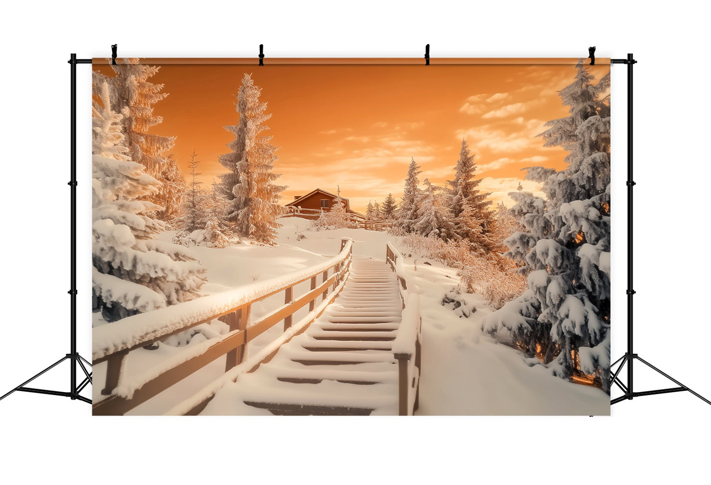 Winter Wonderland Backdrop Amber Cabin Frost Path Winter Backdrops LXX510-101